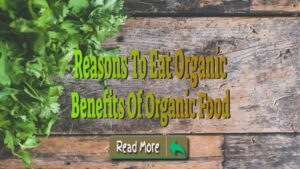 reasons to eat organic food