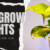 T5 Grow Lights – Giving Seedlings The Best Start Possible