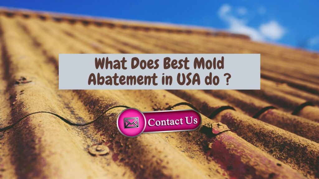 mold abatement