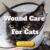 Wound Care for Cats: What You Need to Know