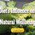 Diet’s Influence on Natural Wellbeing
