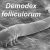 Demodex Mites: Link to Chronic Dry Eye Issues