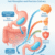 Gel-Based Supplements for Optimal Health Benefits