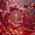 Ferritin Blood Test Guide: Essential Insights for Banbury Residents