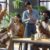 Pets in Workplace Wellness Boost Employee Health