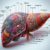 Advanced Liver Blood Test Guide for Maidstone Residents